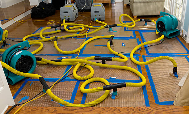 Professional Emergency Water Removal technician working in Clarington, OH